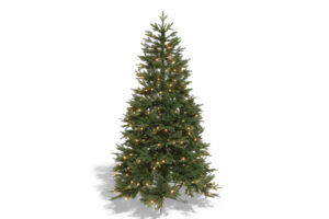 Hovden-190-2-scaled-1--300x200-video