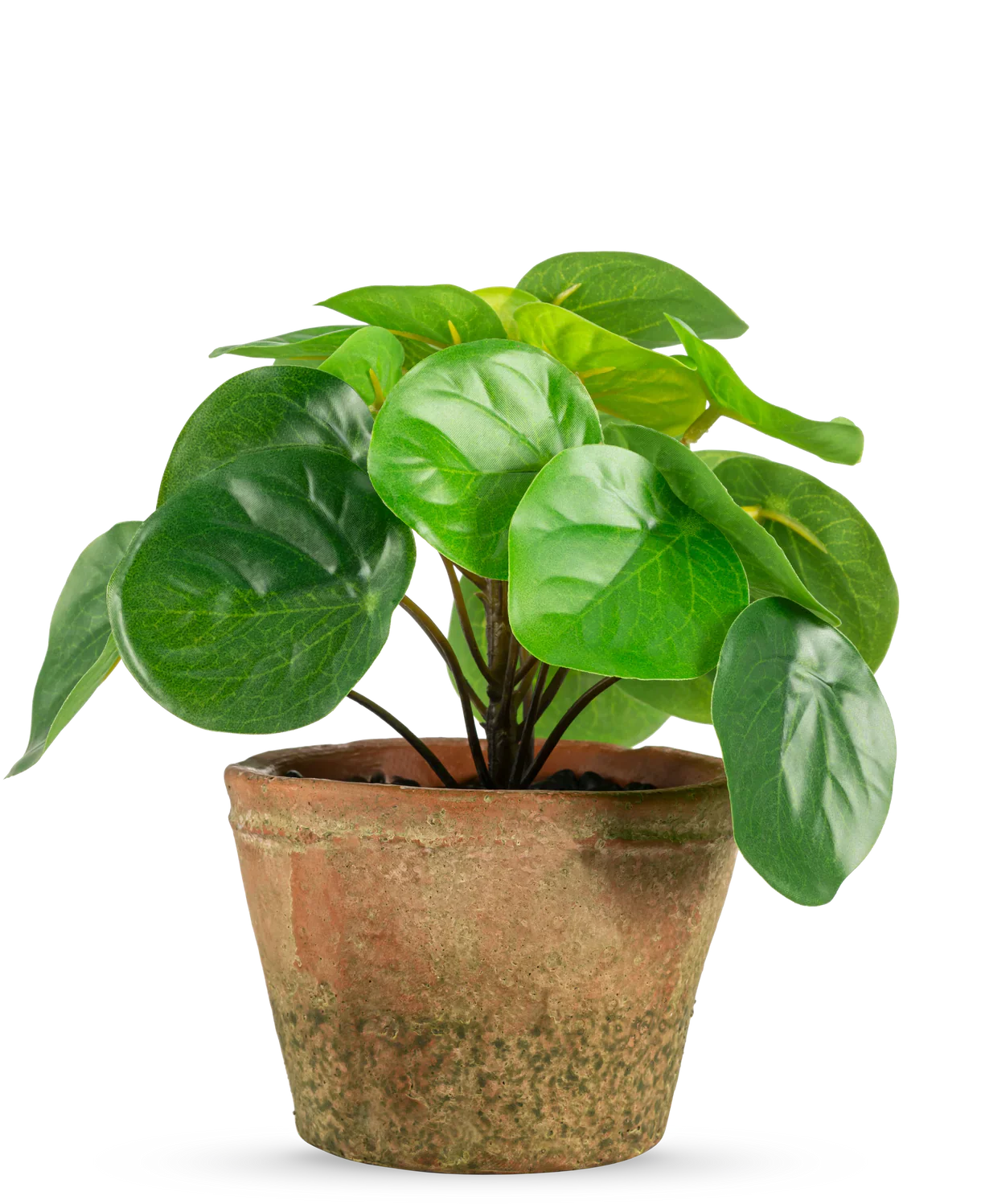 Kunstig Mini Pengeplante i Retropotte UV 15cm