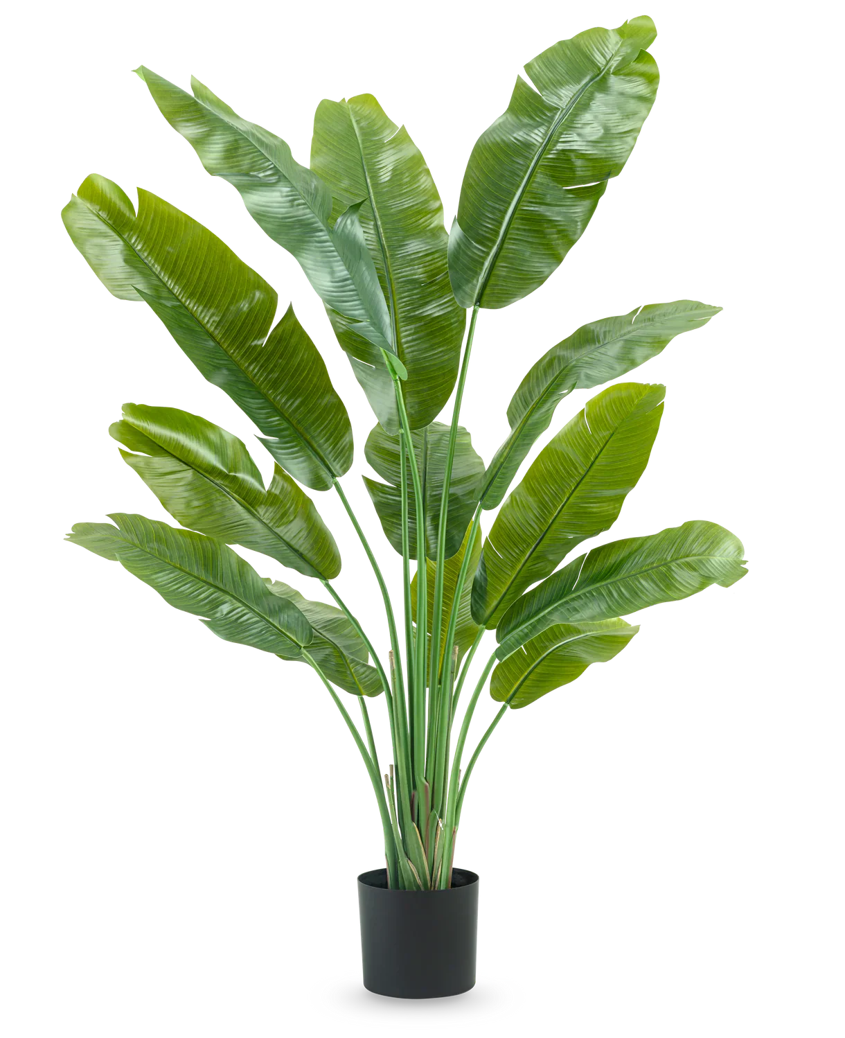 Kunstig Strelitzia Nicolai Deluxe 165cm